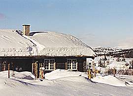 Gomobu: Bild3